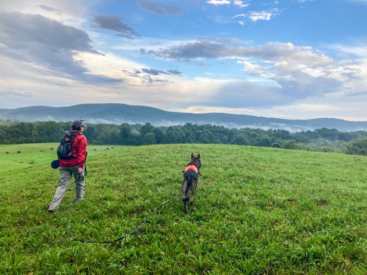 About the  campaign on Bonfire 3