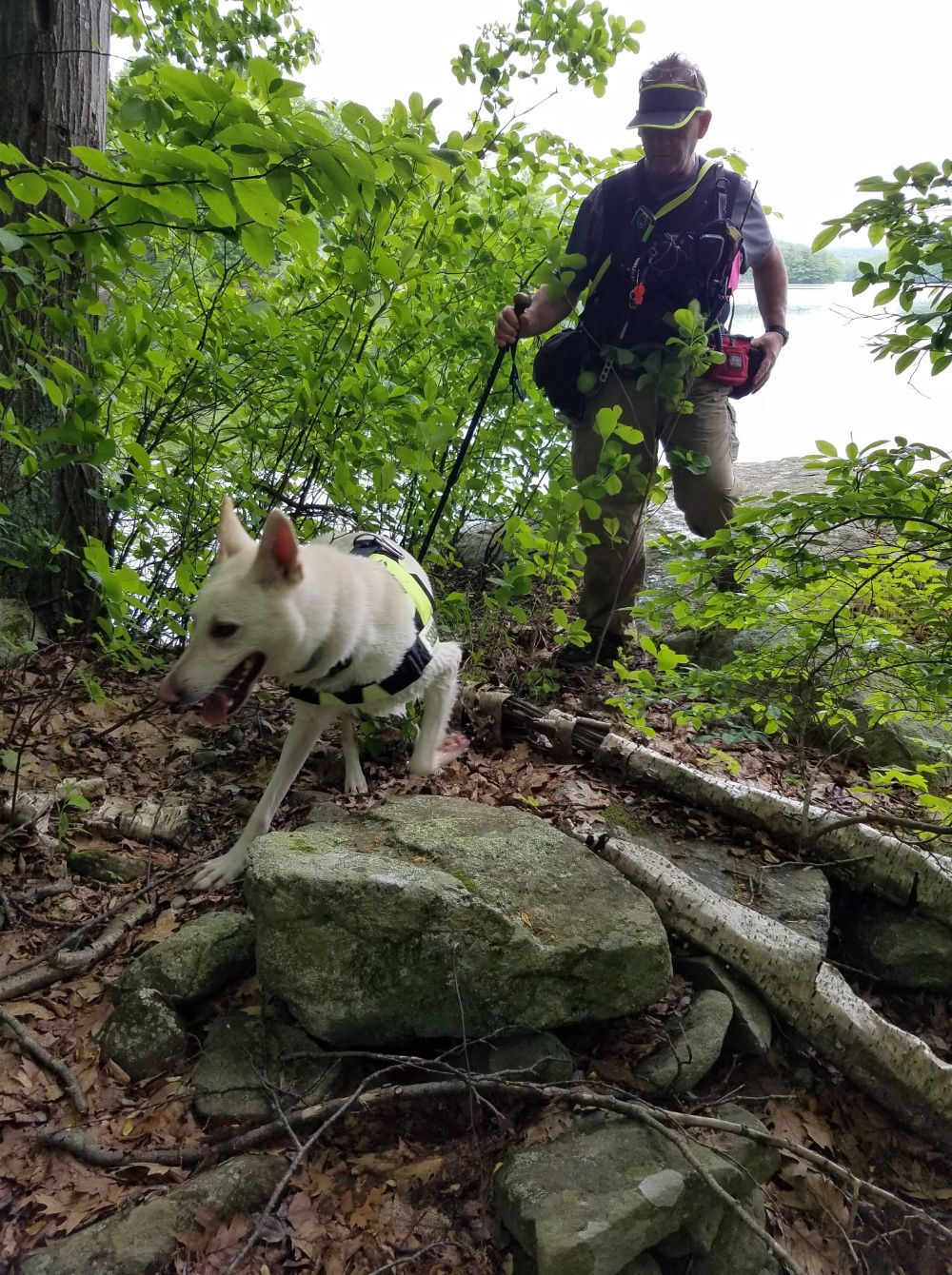 About the  campaign on Bonfire 5