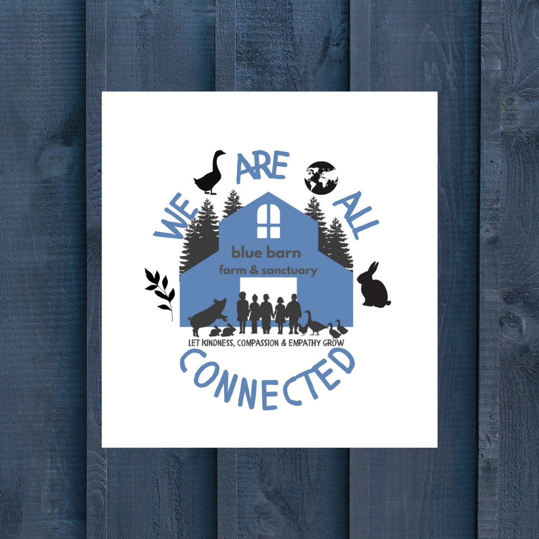 About the We Are All Connected campaign on Bonfire 3