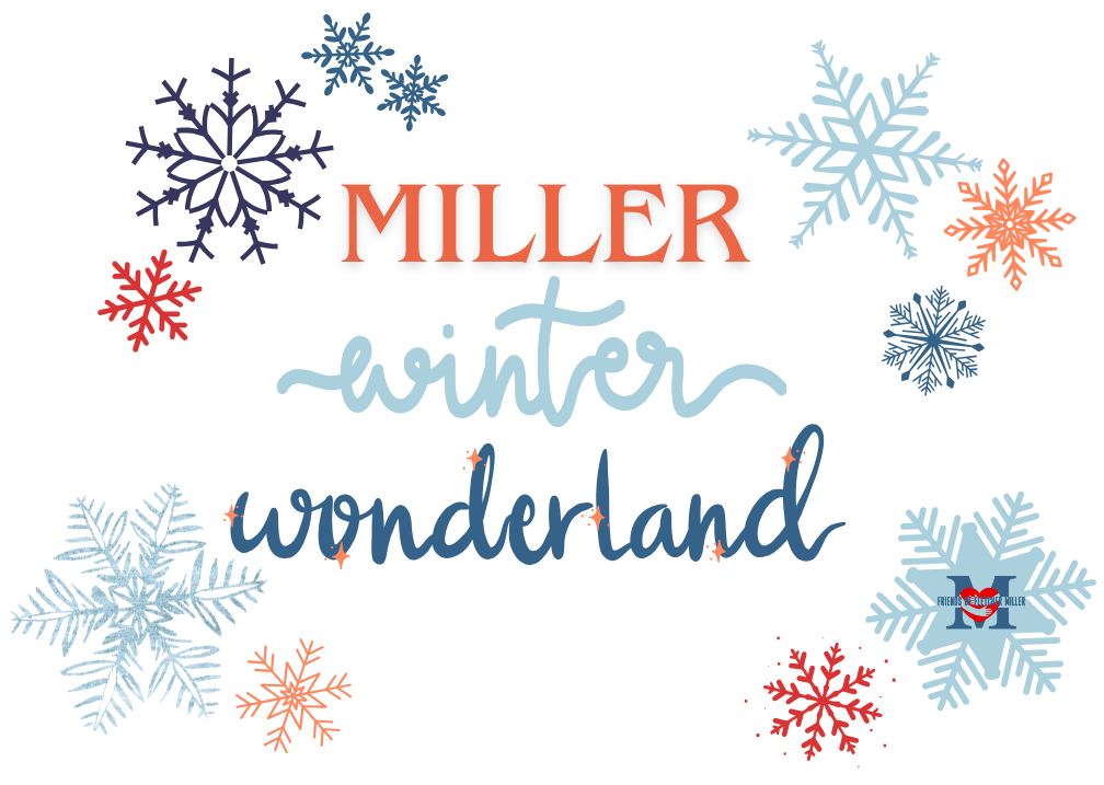 About the  campaign on Bonfire 2