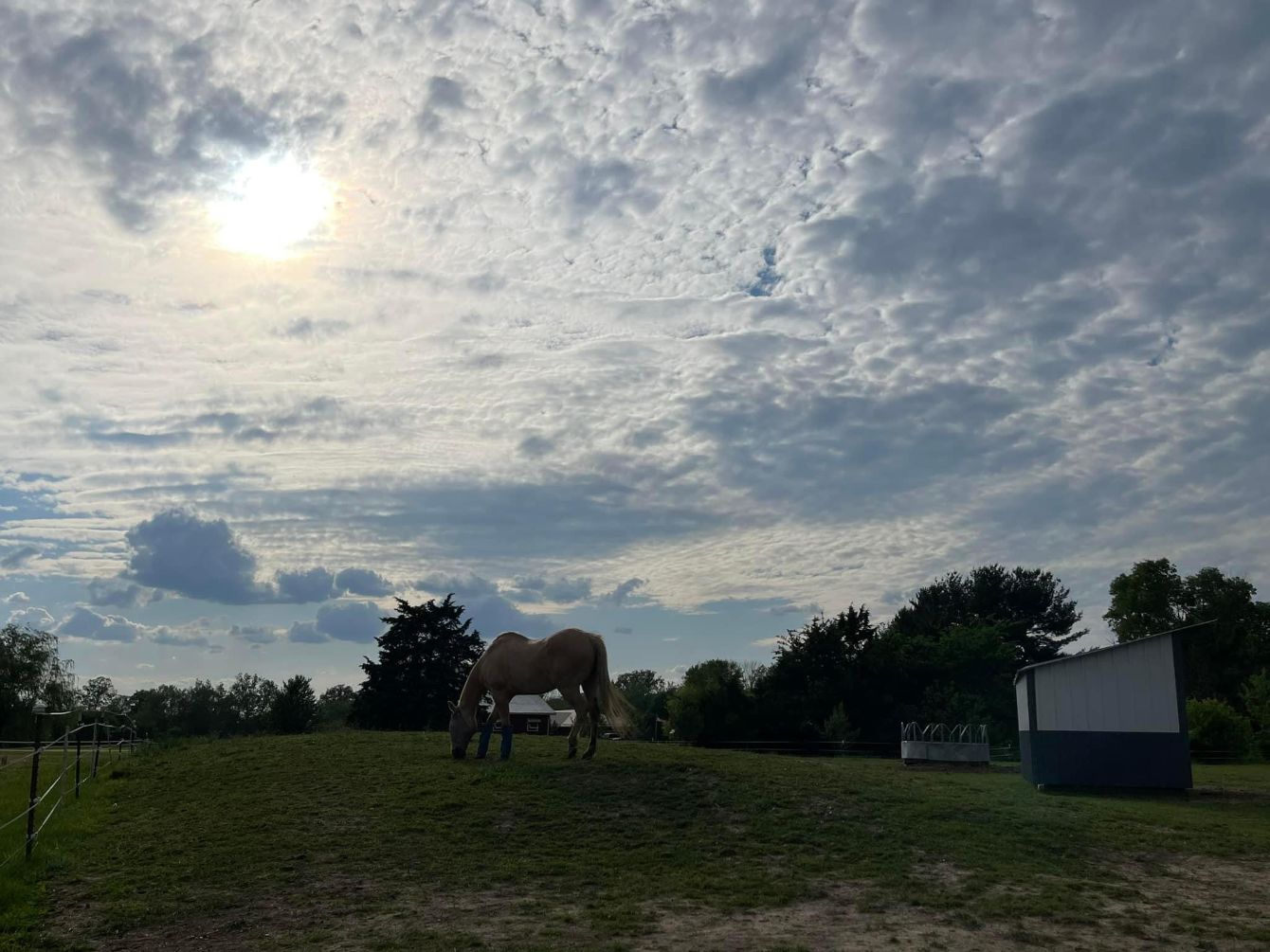 About the Soaring Spirits campaign on Bonfire 6