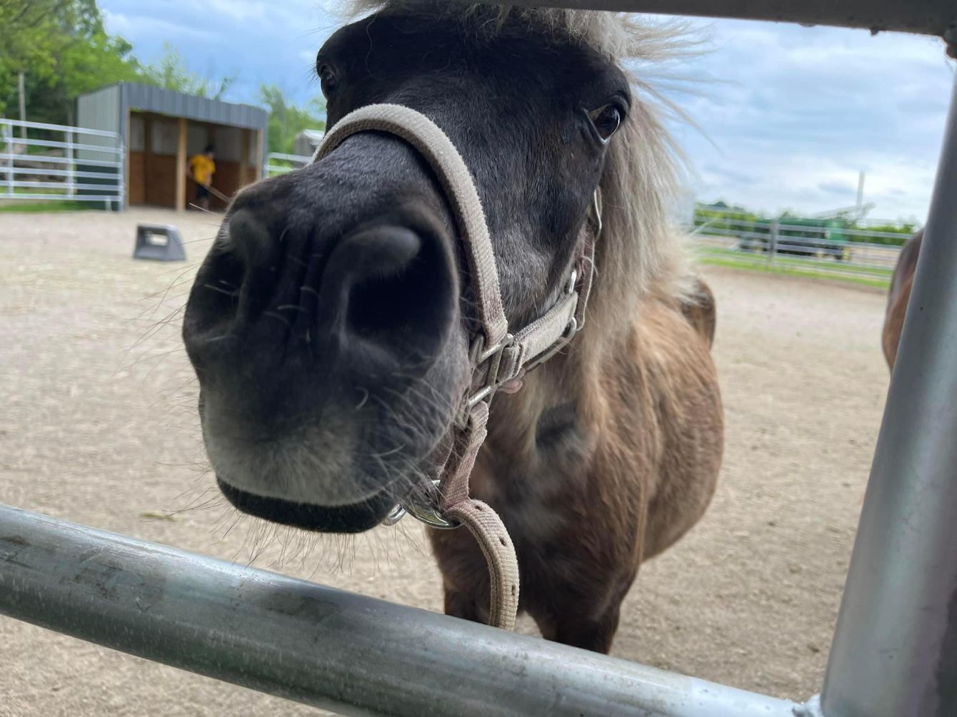 About the Soaring Spirits campaign on Bonfire 3