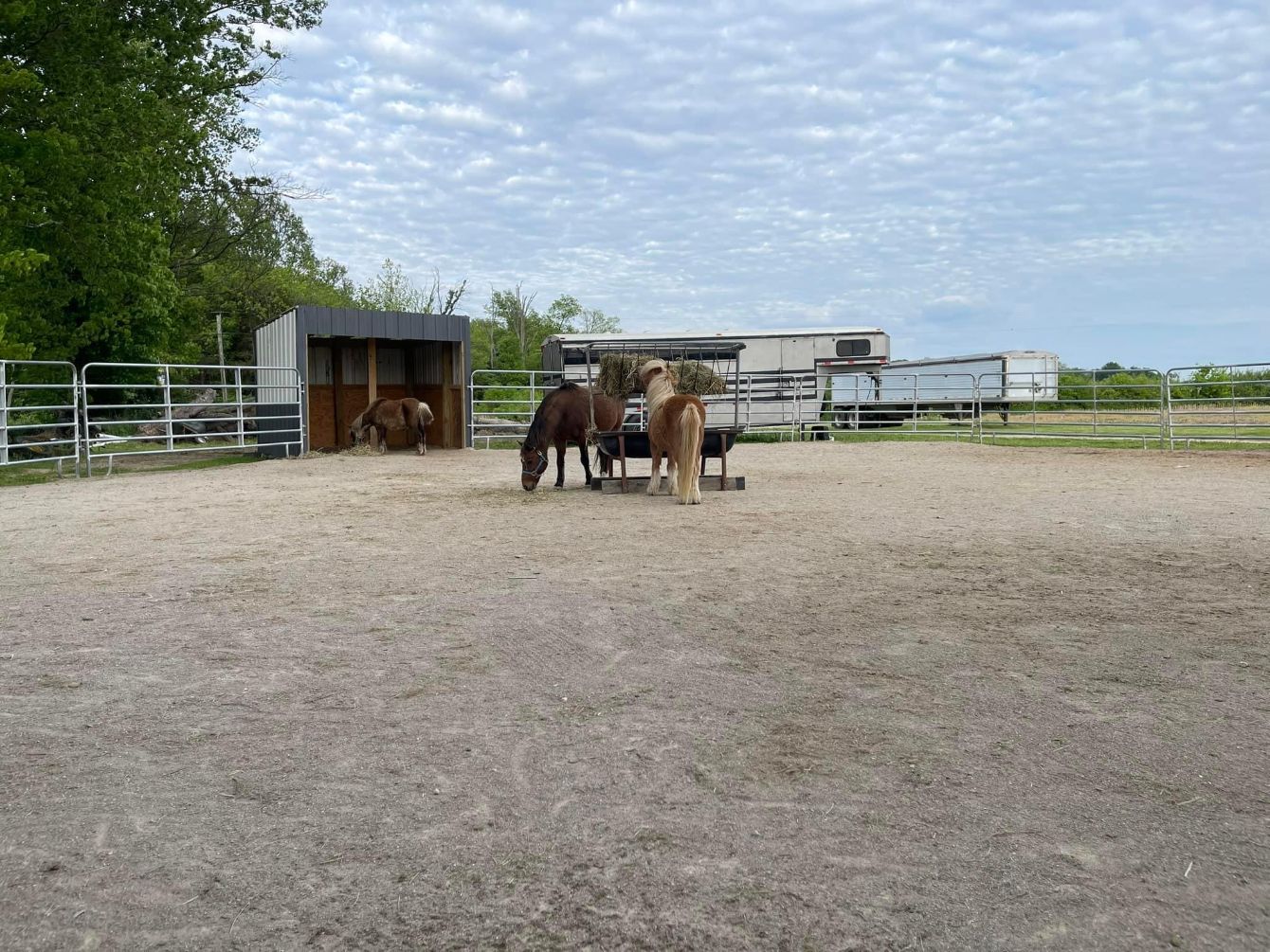 About the Soaring Spirits campaign on Bonfire 5