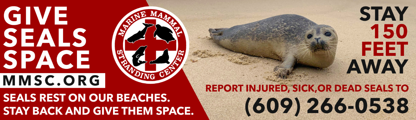 About the Respect the Locals- Grey Seal Edition campaign on Bonfire 5