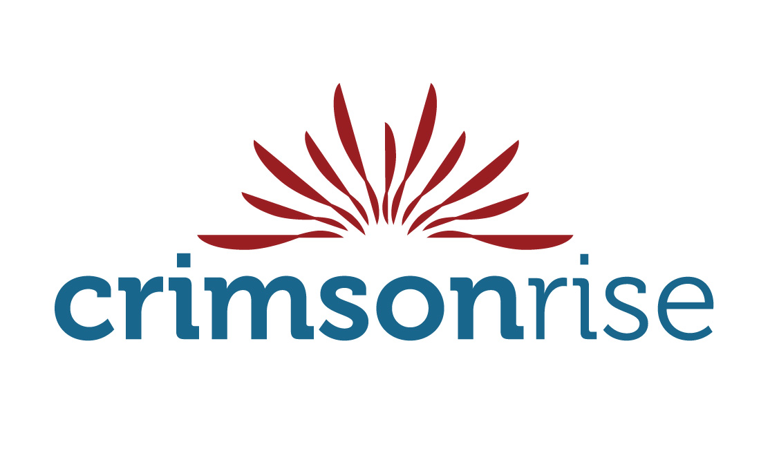 About the &nbsp; &nbsp; &nbsp; &nbsp; &nbsp; &nbsp; &nbsp;Holiday Ornament campaign on Bonfire 2