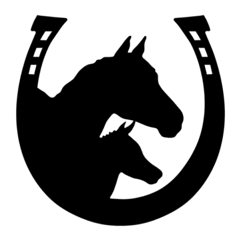 About the  campaign on Bonfire 2