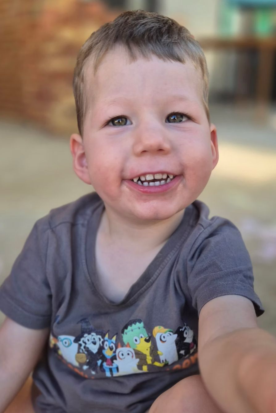 About the Phineas the Cat Shirt campaign on Bonfire 2