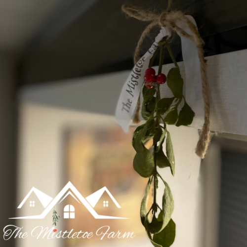 About the  campaign on Bonfire 2