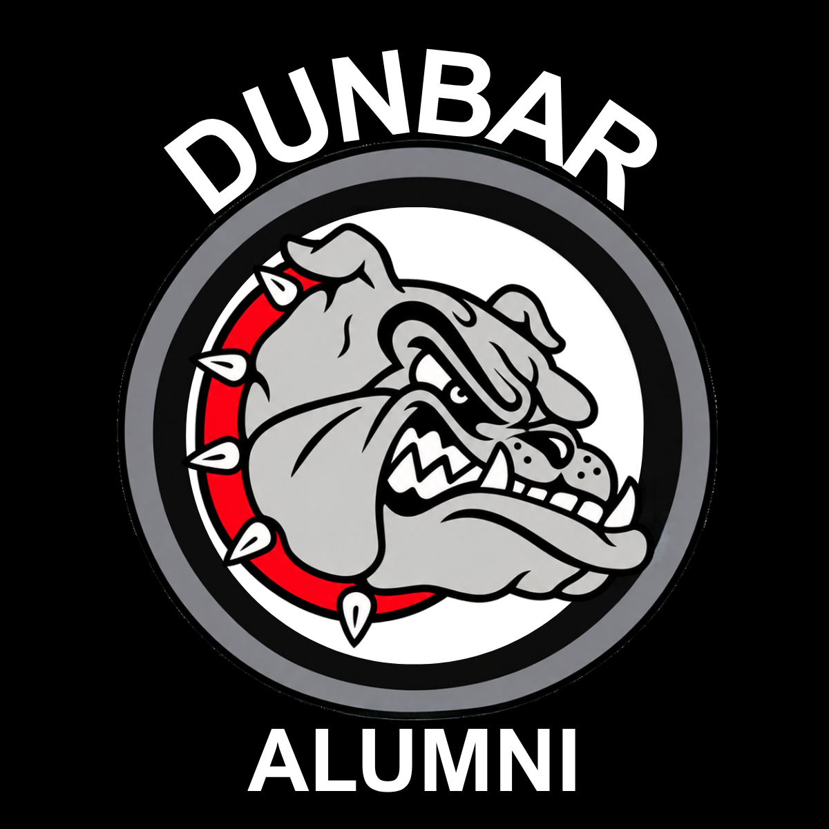 About the PLD Alumni Shirts campaign on Bonfire 2