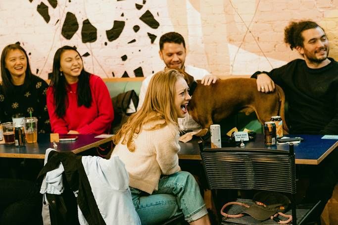 About the Must Love Dogs and Comedy campaign on Bonfire 10