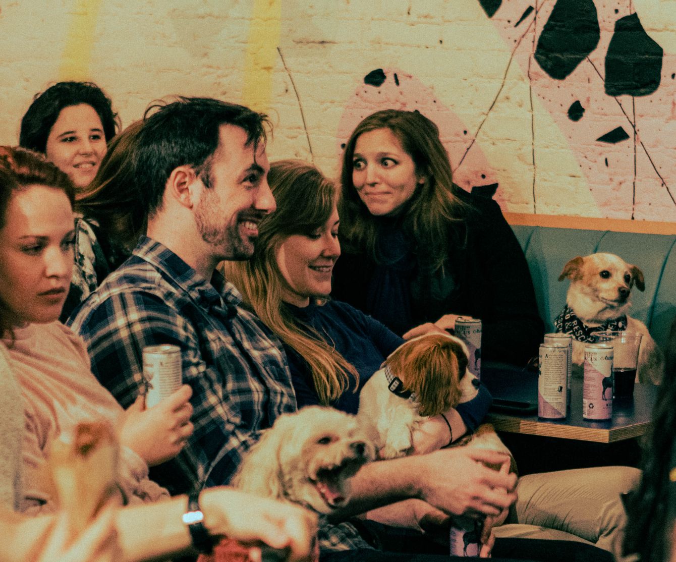 About the Must Love Dogs and Comedy campaign on Bonfire 6