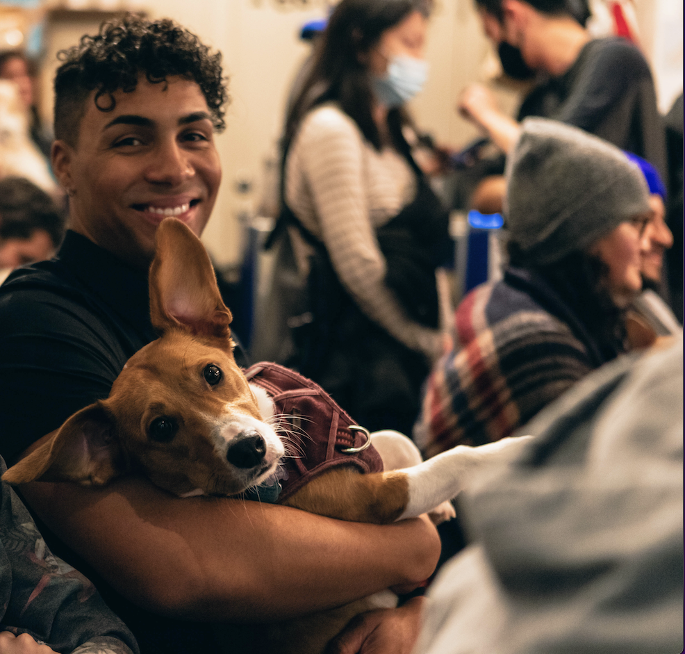 About the Must Love Dogs and Comedy campaign on Bonfire 16
