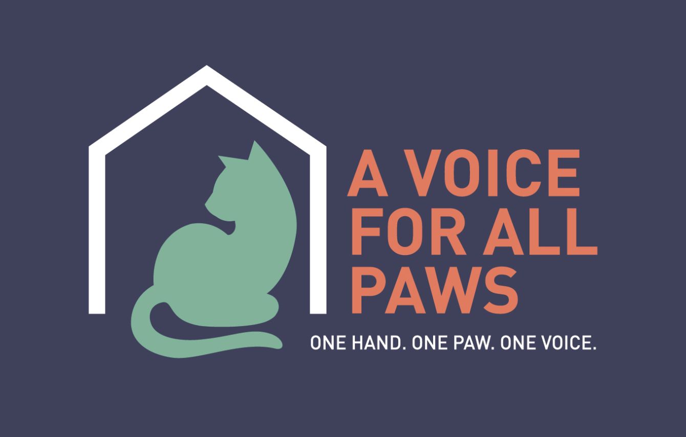 About the A Voice for All Paws campaign on Bonfire 2
