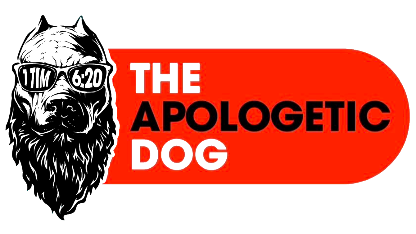 About the  campaign on Bonfire 2