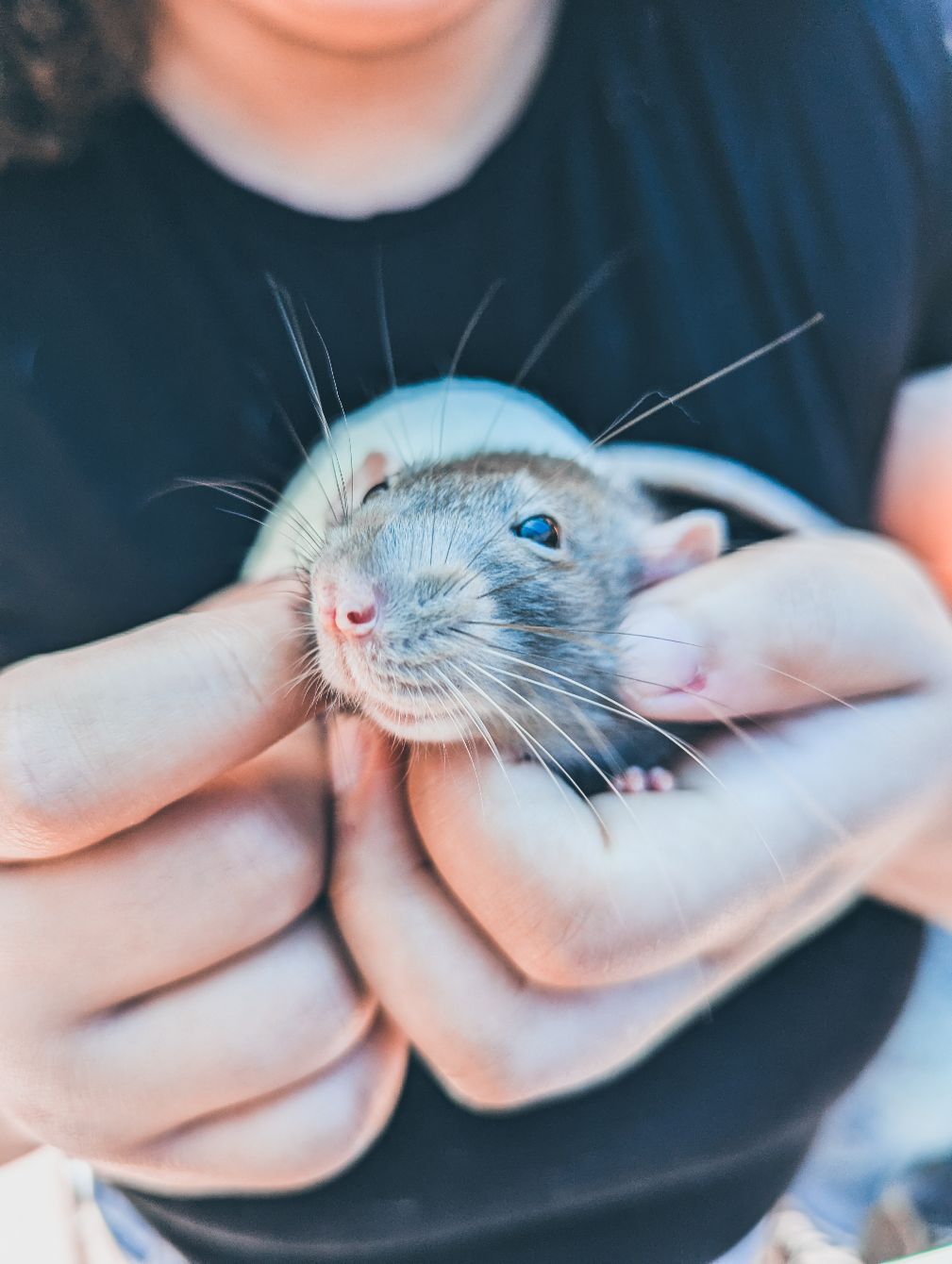 About the Sprite Doodle - Zip Hoodie campaign on Bonfire 2