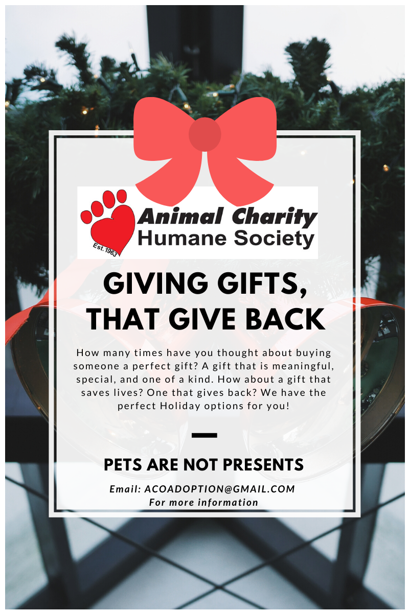 About the Gifts That Give Back. campaign on Bonfire 2