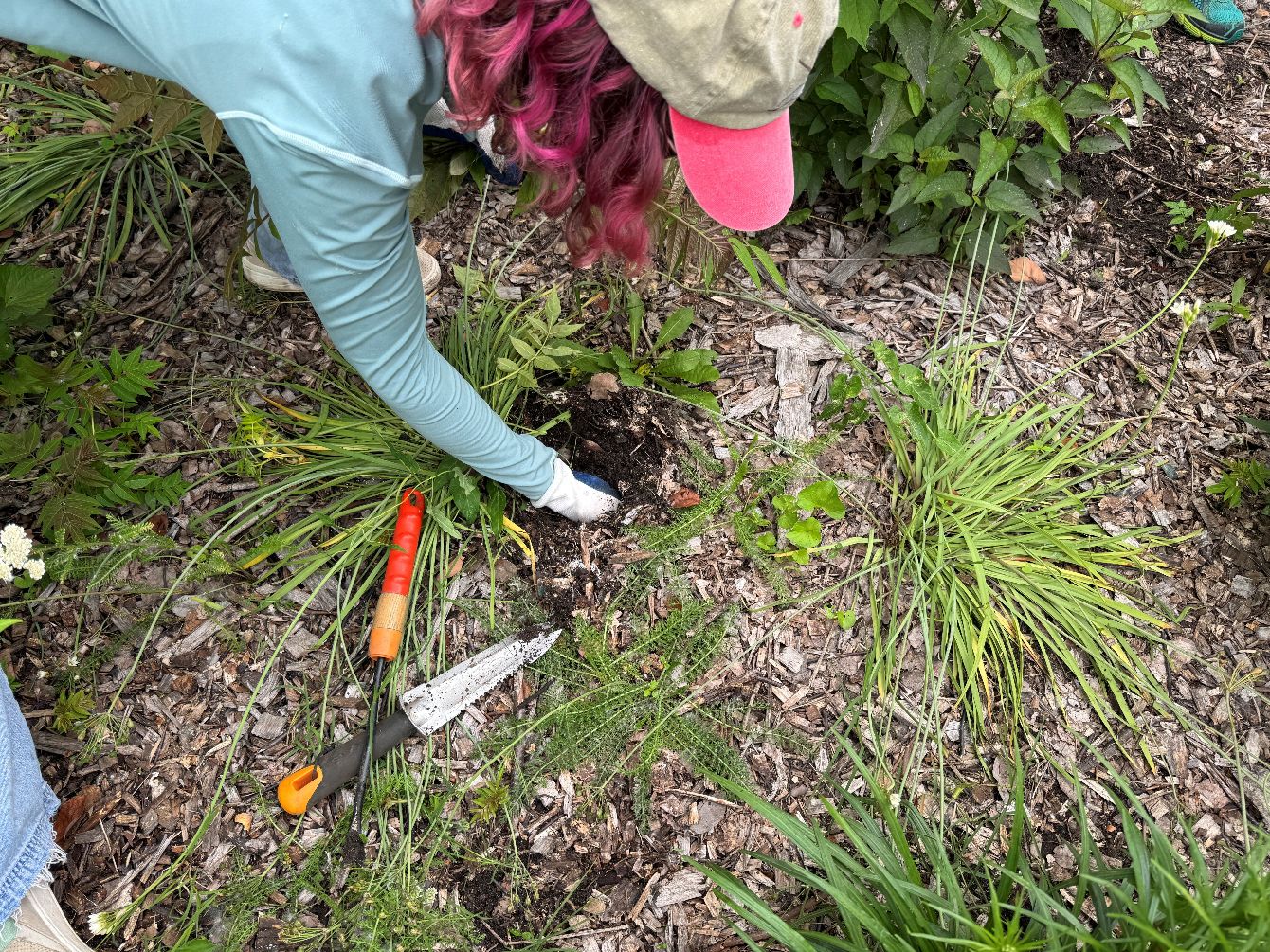 About the We Build Greenspaces - LT Green campaign on Bonfire 3