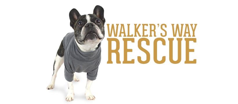 About the Support Walker's Way Rescue campaign on Bonfire 3