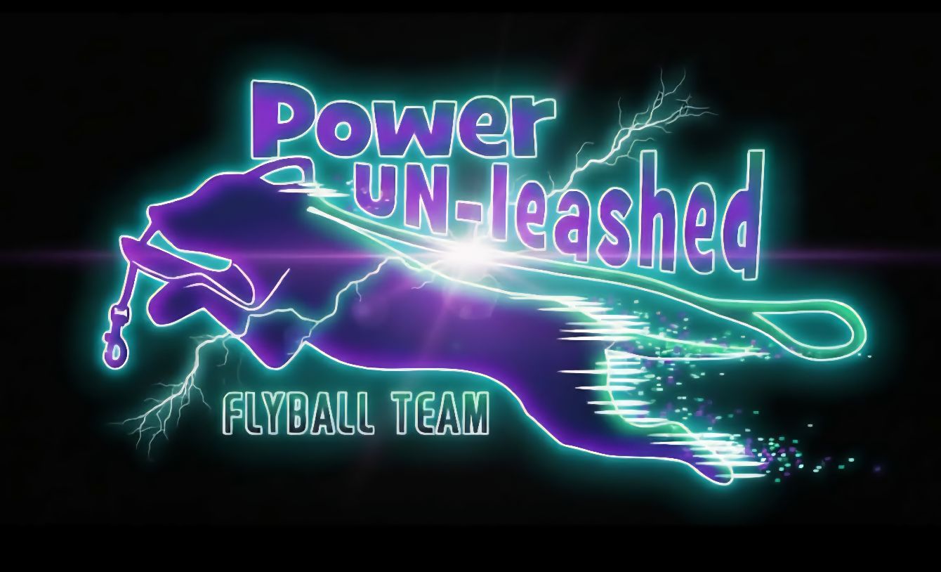 About the The Box Loader Union campaign on Bonfire 2