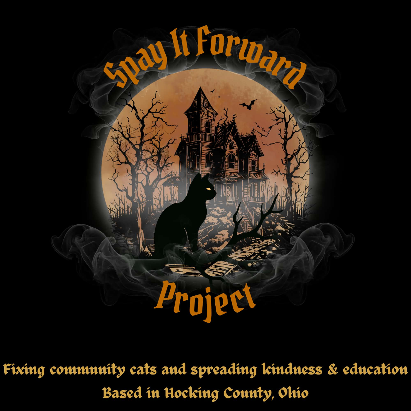 About the Spay it Forward Project campaign on Bonfire 2