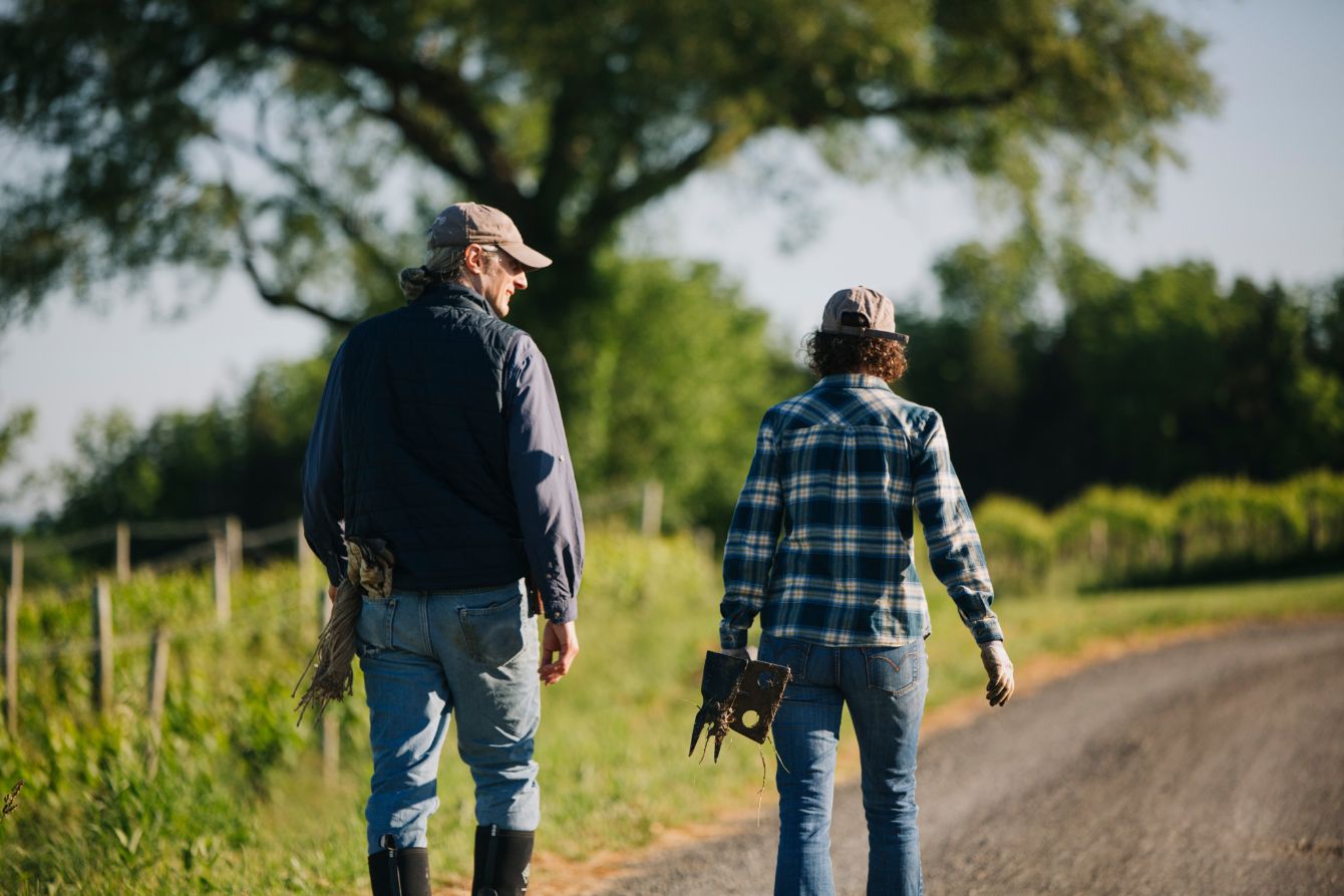 About the  campaign on Bonfire 2