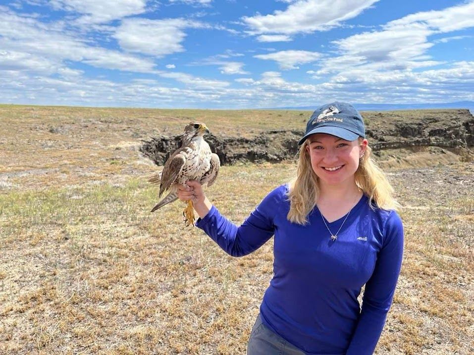 About the Raptor Research & Conservation campaign on Bonfire 2