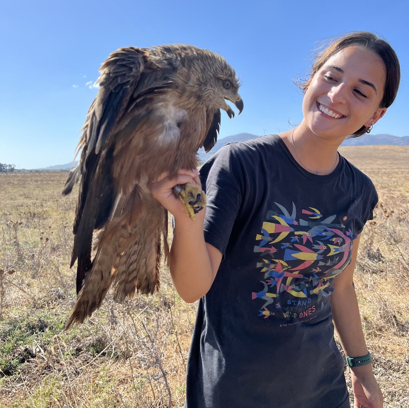 About the Raptor Research & Conservation campaign on Bonfire 8