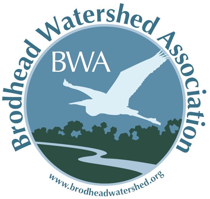 About the Connected by Water campaign on Bonfire 2