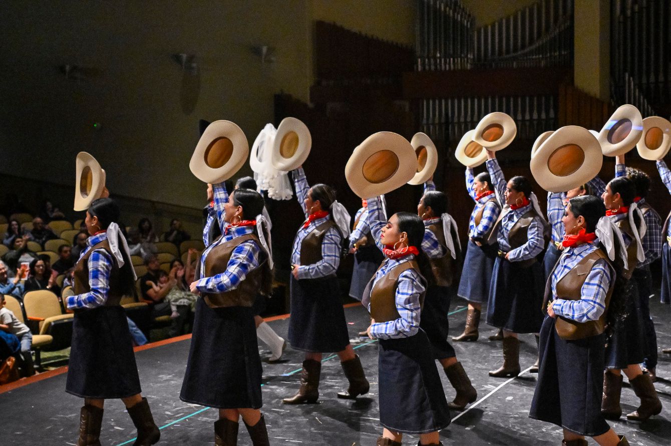 About the  campaign on Bonfire 2