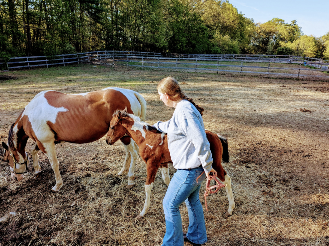 About the  campaign on Bonfire 4