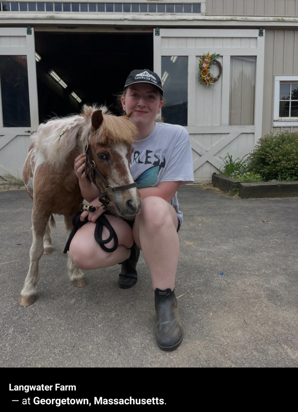 About the  campaign on Bonfire 2