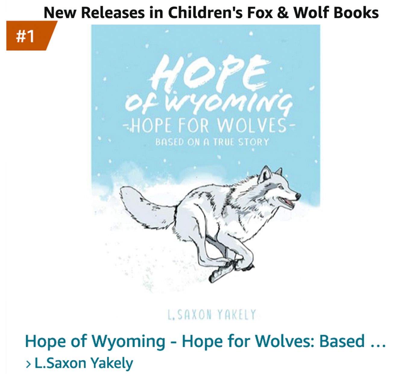 About the HOPE OF WYOMING campaign on Bonfire 2