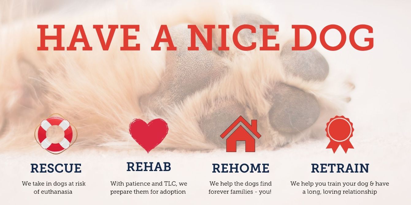 About the  campaign on Bonfire 2