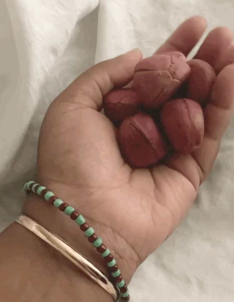 About the  campaign on Bonfire 2