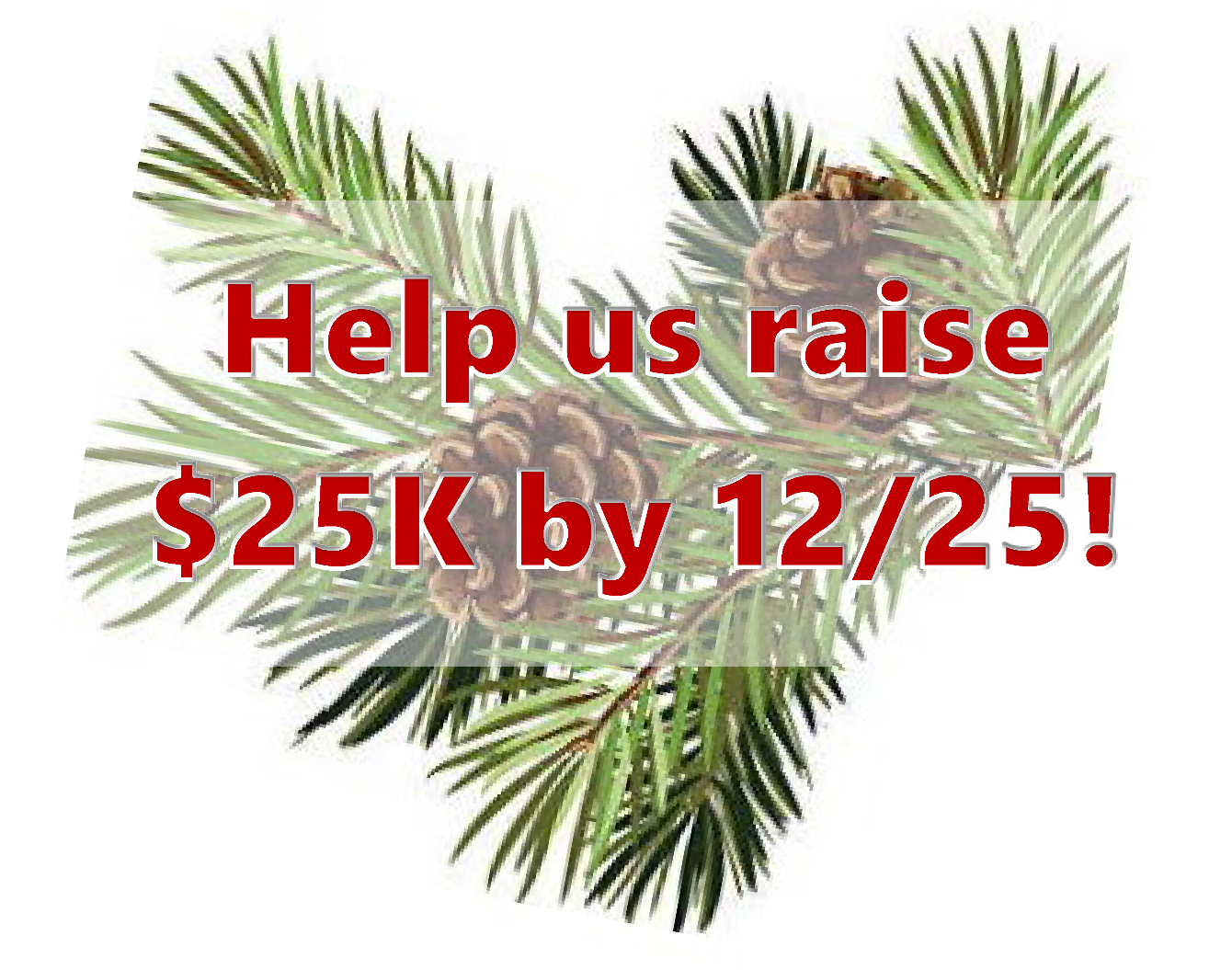 About the DRBA Winter Threads Caddisfly campaign on Bonfire 2