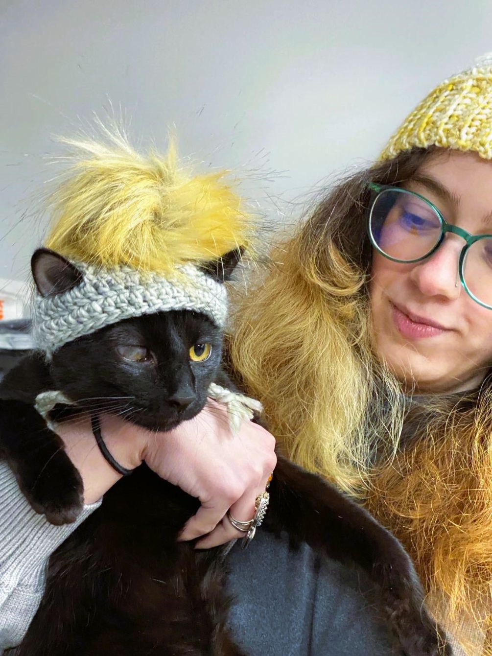 About the Cat Love Tee campaign on Bonfire 1