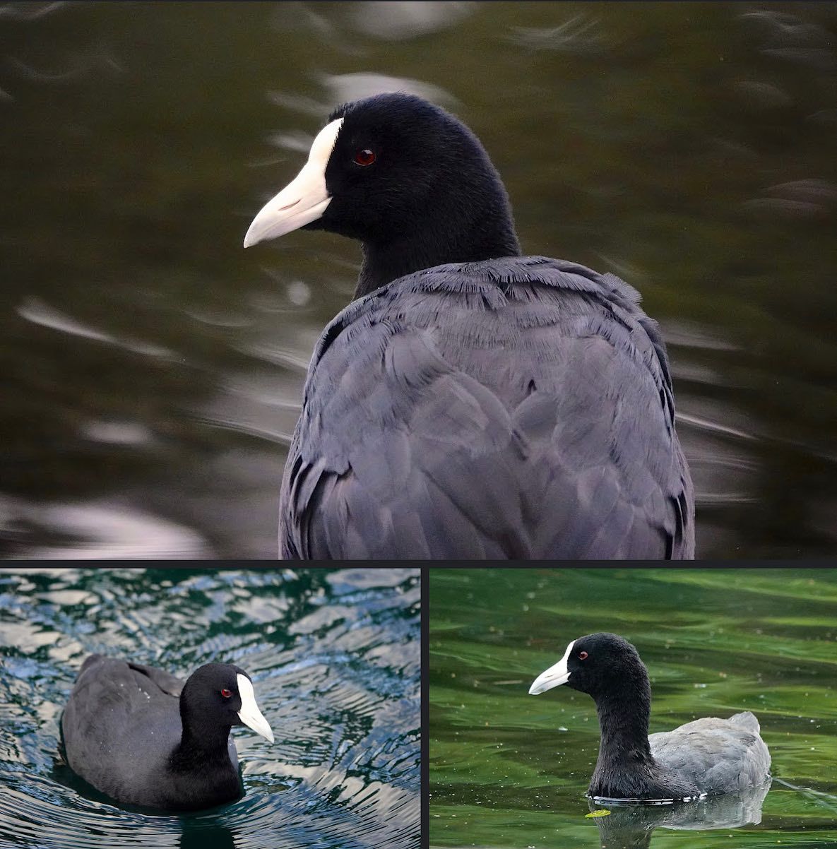 About the  campaign on Bonfire 5