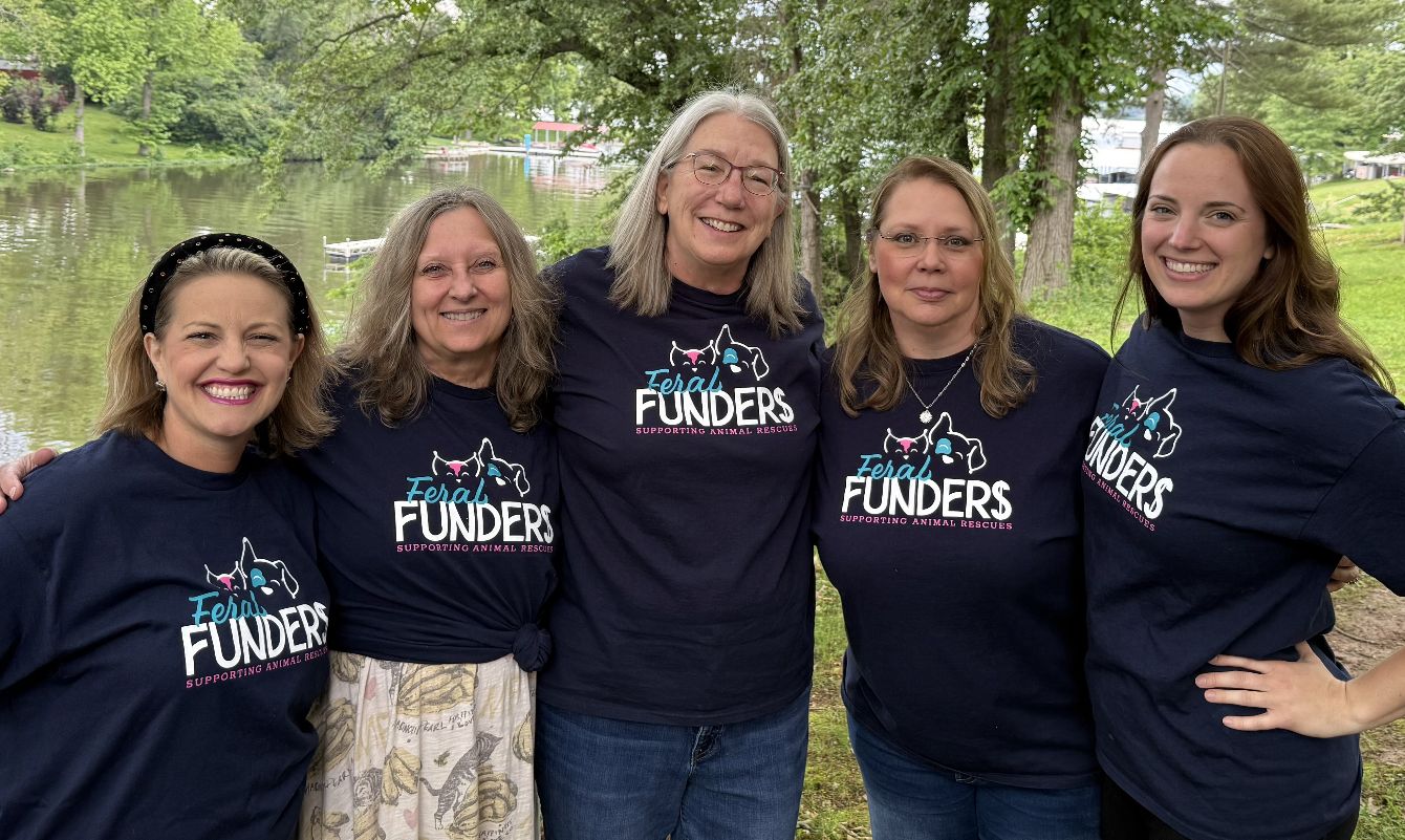 About the  campaign on Bonfire 2