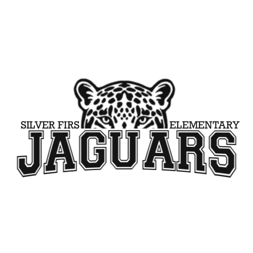 About the SFE Jaguars W campaign on Bonfire 2