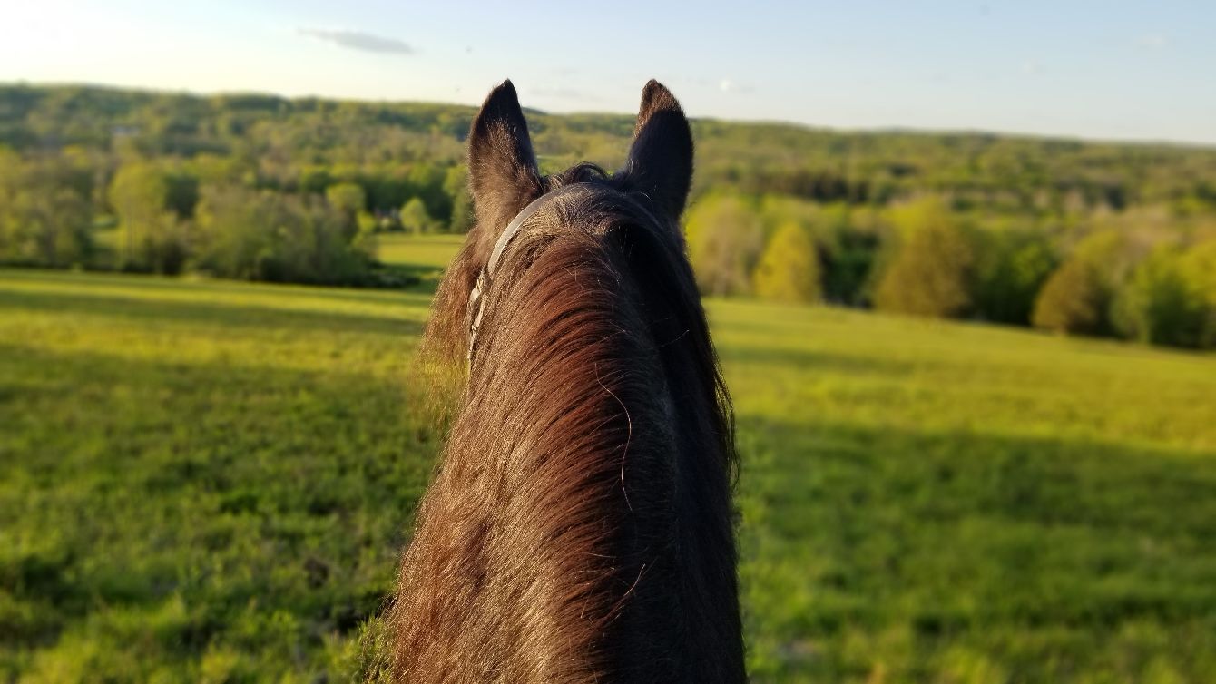 About the NSBTA Apparel campaign on Bonfire 2