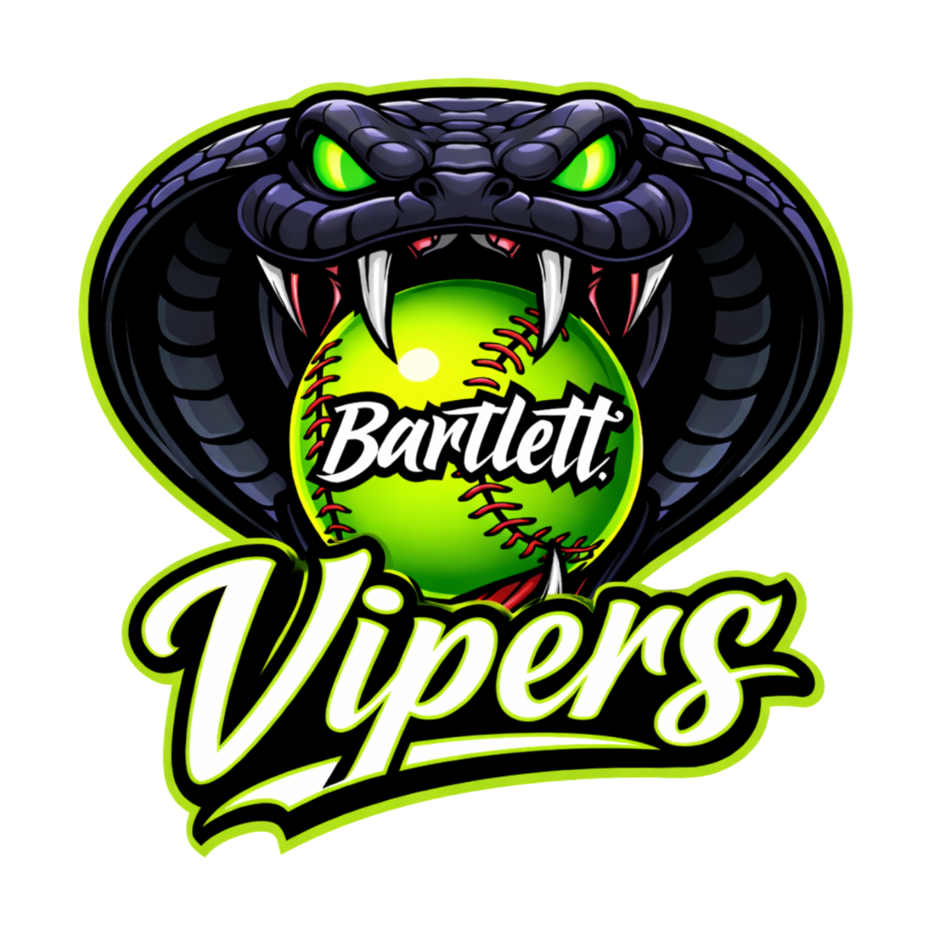 About the ViperWear Spring '26 campaign on Bonfire 2