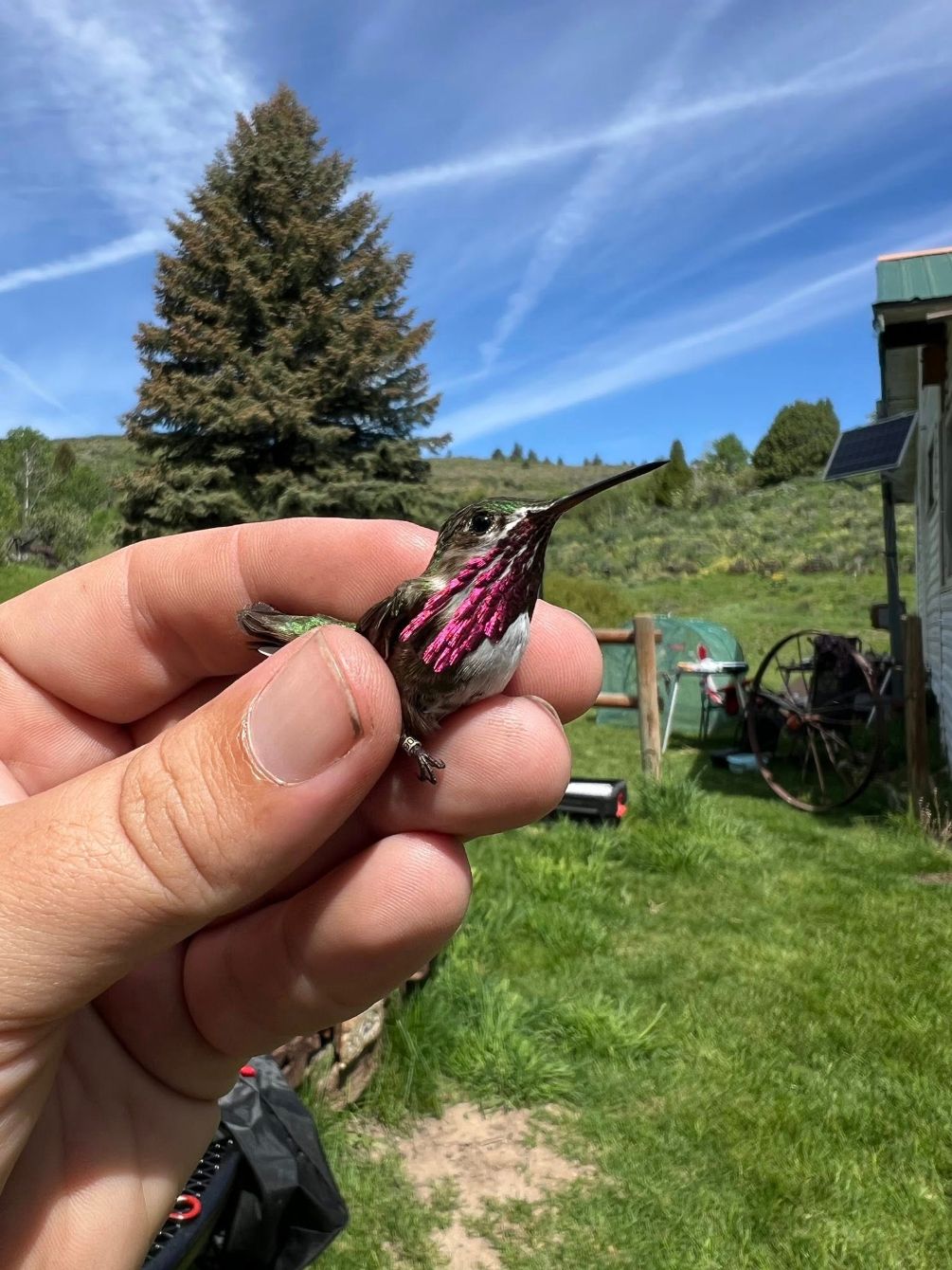 About the  campaign on Bonfire 2