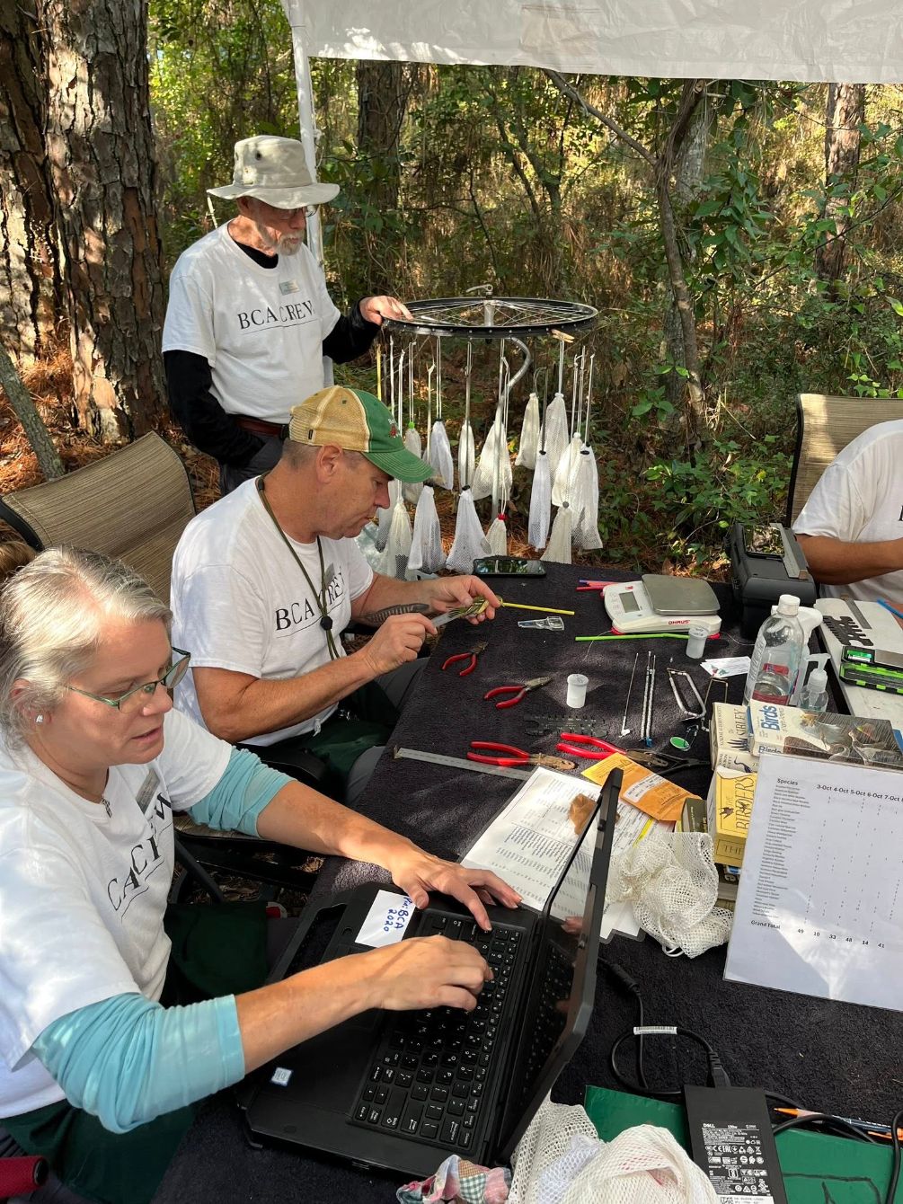 About the  campaign on Bonfire 3