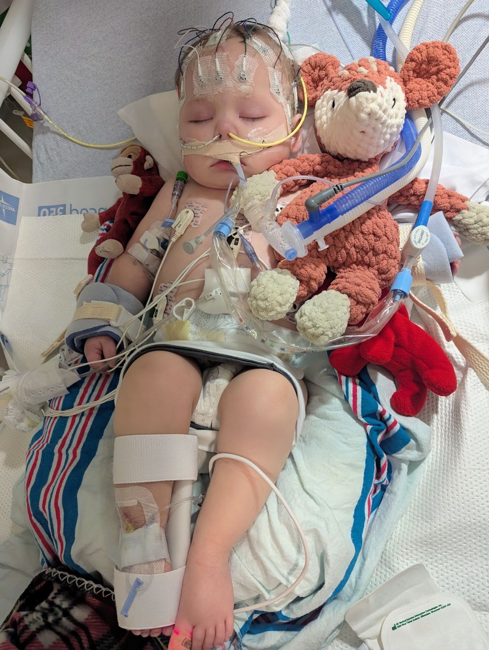 About the Stronger Than Seizures campaign on Bonfire 2