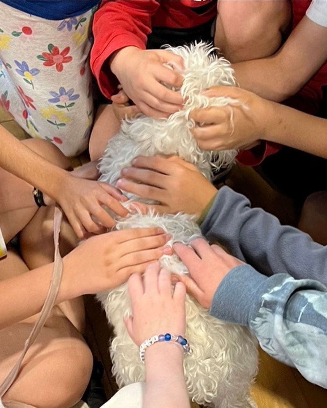 About the Celebrating Our Little Evie campaign on Bonfire 2