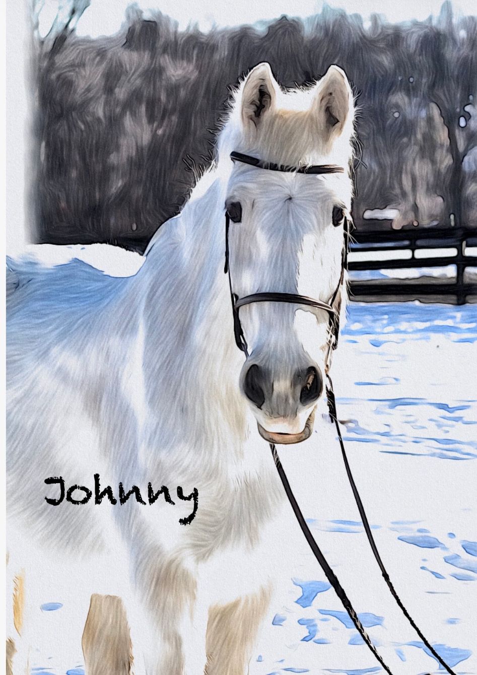 About the Johnny campaign on Bonfire 2