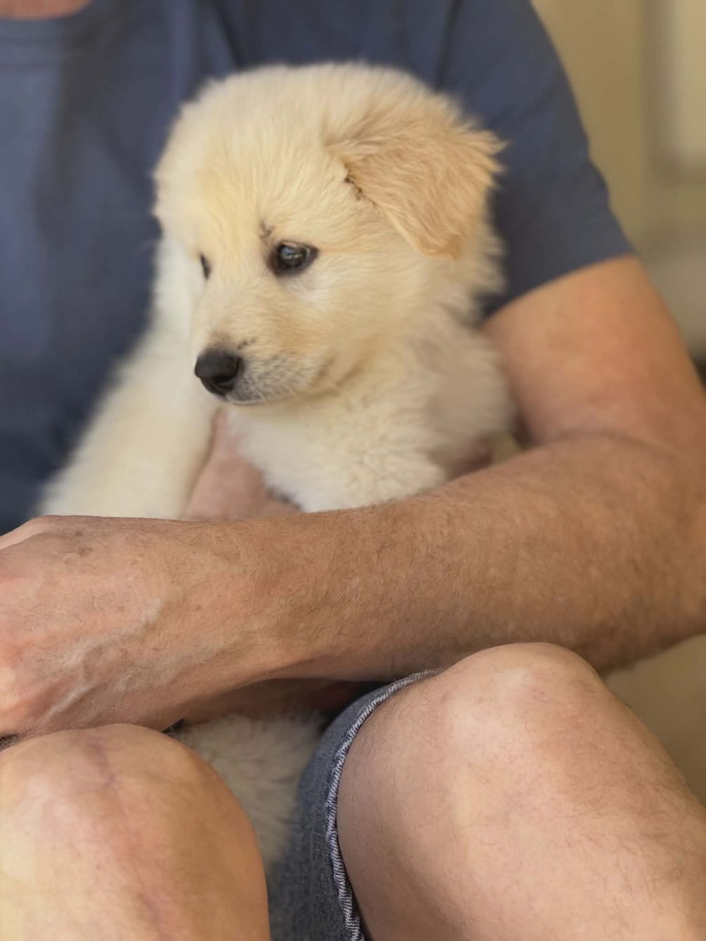 About the TGPR 25th Anniversary Ts #3: High Six!&nbsp; campaign on Bonfire 3