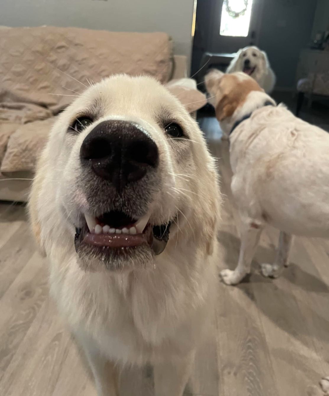 About the TGPR 25th Anniversary Ts #3: High Six!&nbsp; campaign on Bonfire 2