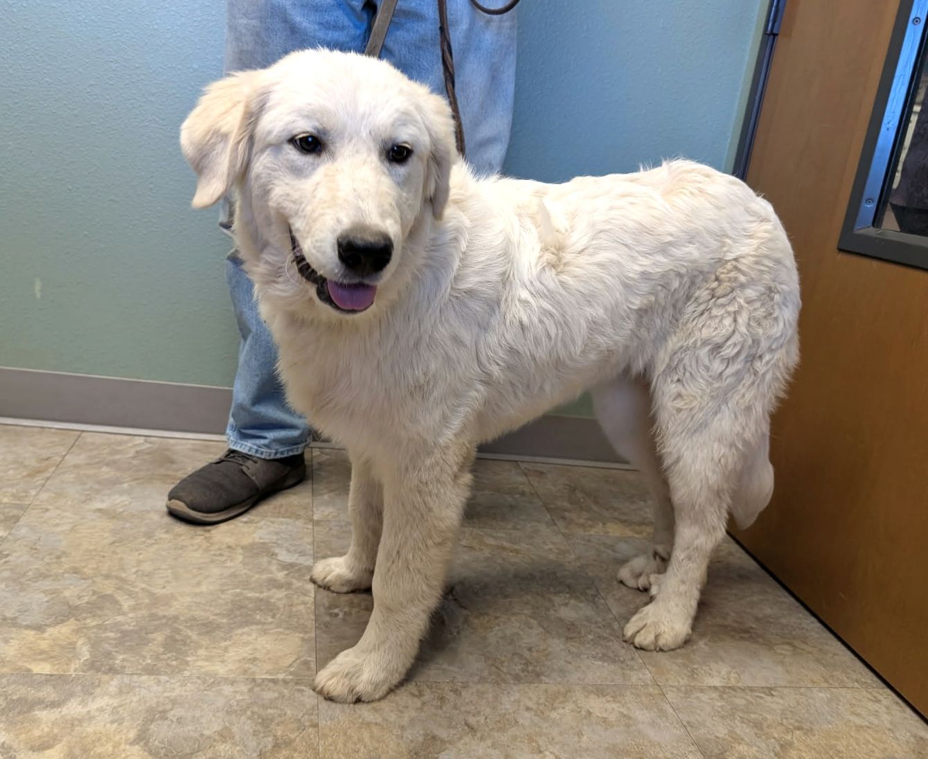 About the TGPR 25th Anniversary Ts #3: High Six!&nbsp; campaign on Bonfire 4