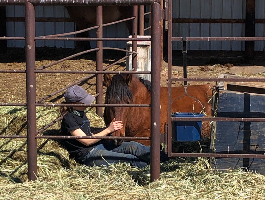 About the Demand the Brand campaign on Bonfire 2